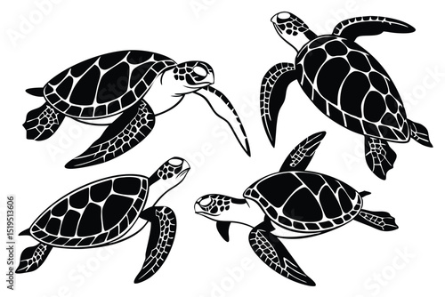 Sea turtles vector silhouette illustration of marine life ocean animals