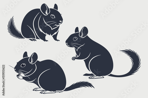 Set of stylized chinchilla illustrations in various poses against neutral backdrop