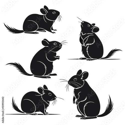 Set of cute chinchilla illustrations silhouette style on isolated white background