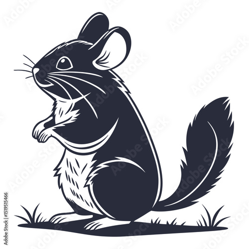 Simple vector illustration of a standing chinchilla with tail on grass