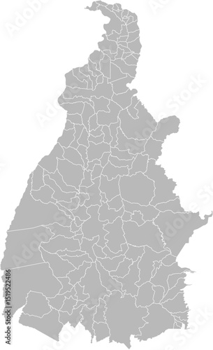 Tocantins, Brazil – administrative vector map with municipality boundaries (Web Mercator projection, PPT-compatible & fully editable)