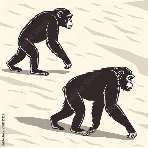 Two chimpanzees walking illustration vector graphic design animals primates wildlife