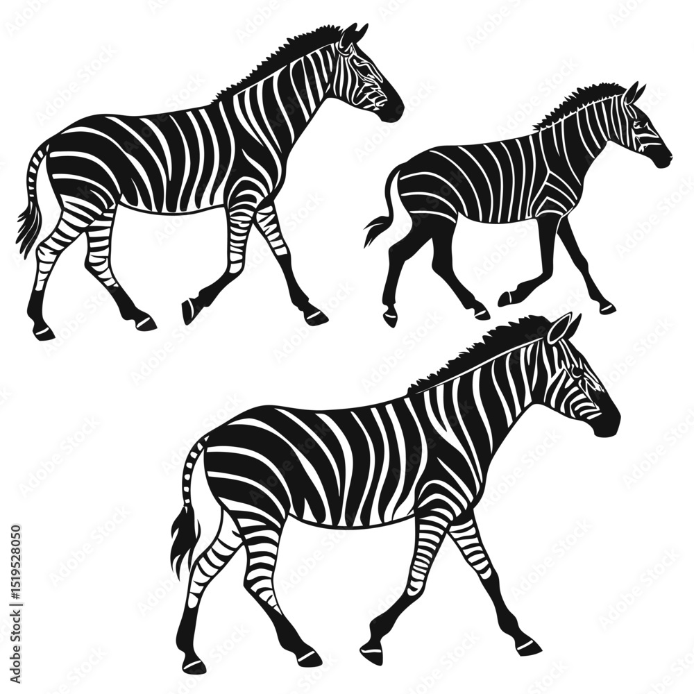 Fototapeta premium Zebras walking animal illustration black and white striped pattern safari wildlife graphic