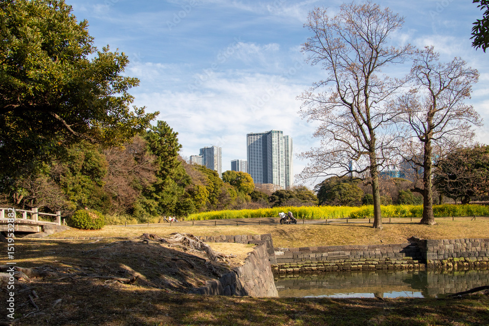 Fototapeta premium Hamarikyu Gardens, Tokyo, Japan