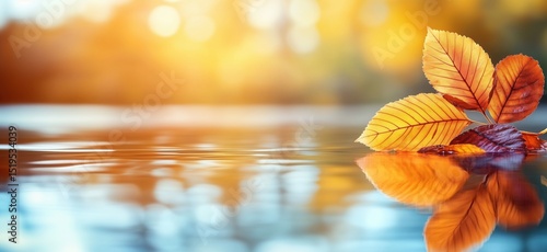 Autumn leaves floating on calm water surface reflecting warm sunset colors