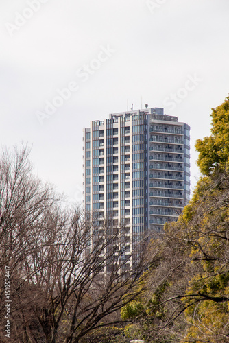 Building in the Tokyo, Japan