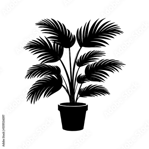 Potted plant Majesty Palm with leaves, silhouette style on white background. Concept of nature