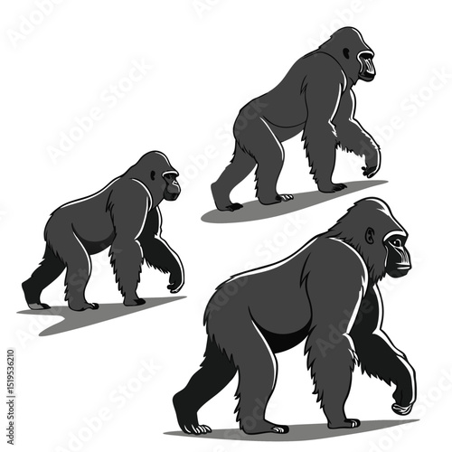 Three cartoon gorillas walking forward wildlife animals strong mammals