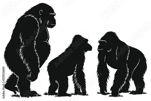Three gorillas standing on grassy surface vector illustration in black and white