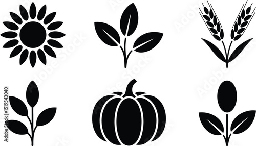 A collection of six black silhouette icons depicting various plants and agricultural products isolated