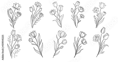 Set of Botanical Flower Illustration 