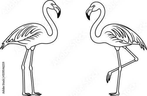 A pair of flamingo outlines facing each other on a white background in a simple line drawing style