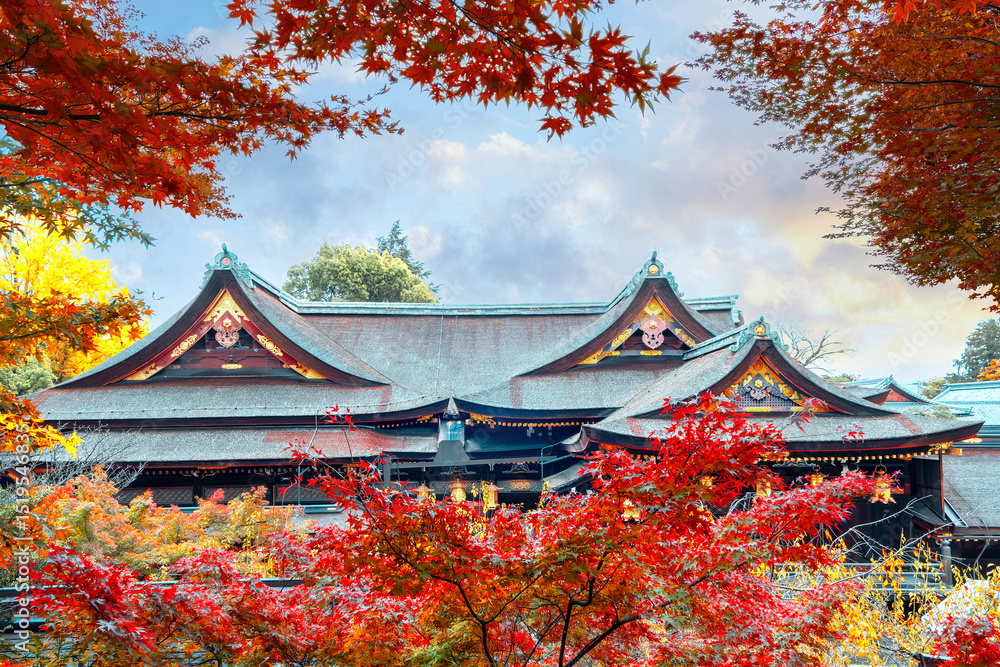 Obraz premium Kitano Tenmangu Shrine with beautiful vivid autumn colorful foliage in Kyoto, Japan