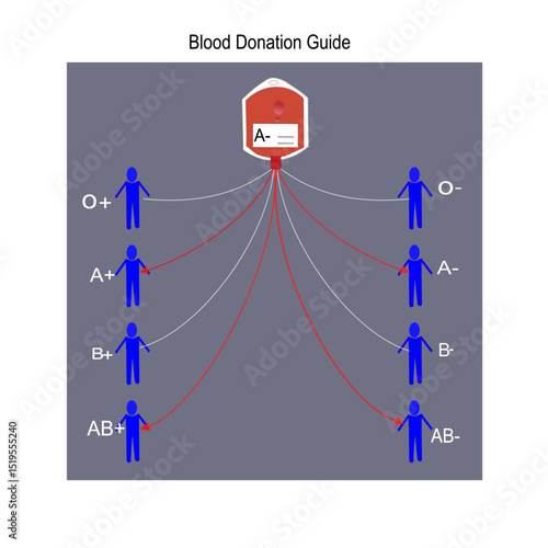 Blood donation guide of blood group A-