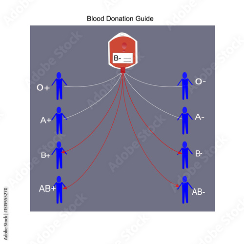 Blood donation guide of blood group B-