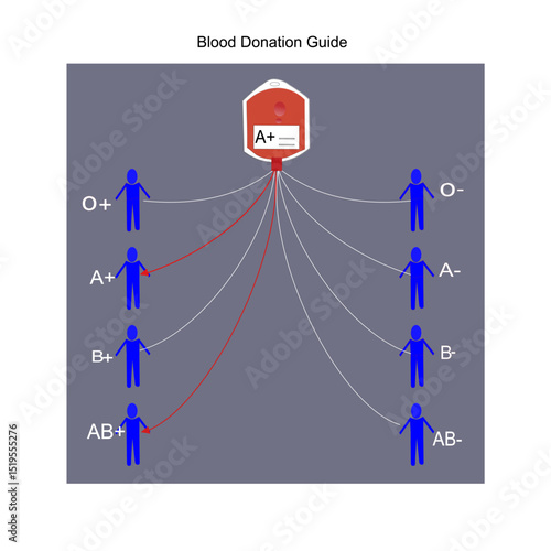 Blood donation guide of blood group A+