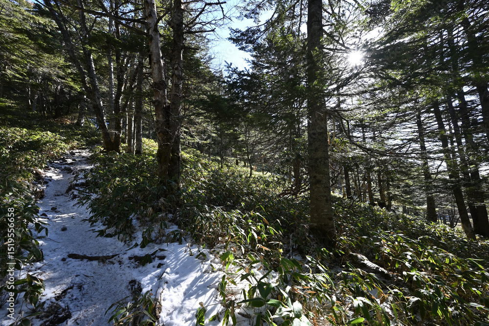 Obraz premium Climbing Mt Kurofu, Asama, Gunma, Nagano, Japan 