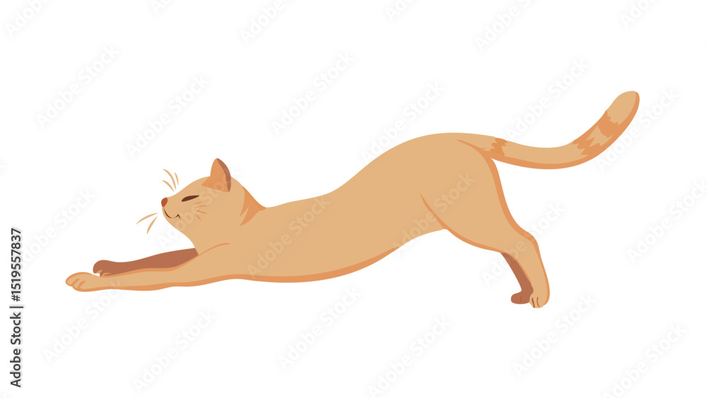 Cat stretching in a relaxed pose with a serene expression in a simple, minimalist style Cat stretching in a relaxed pose with a serene expression in a simple, minimalist style