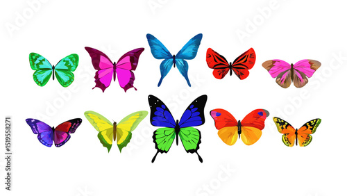 Colorful butterflies showcase vibrant patterns and diverse species, highlighting nature's beauty in an artistic display