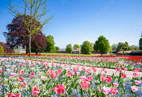 Stuttgart Feuerbach, Stadtpark am Killesberg mit Blick in Richtung Bad Canstatt