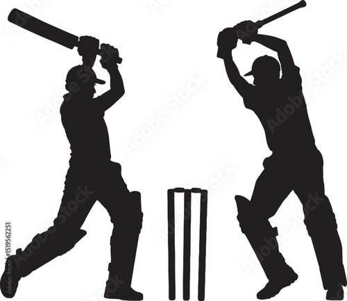 Cricket batsmen silhouette action wickets sport