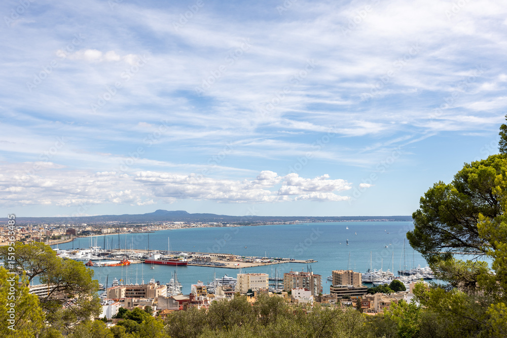 Obraz premium Scenic view of Palma de Mallorca’s harbor at midday, framed by lush trees. Clear blue sky, boats, and cityscape create a vibrant Mediterranean atmosphere in this coastal Spanish paradise.