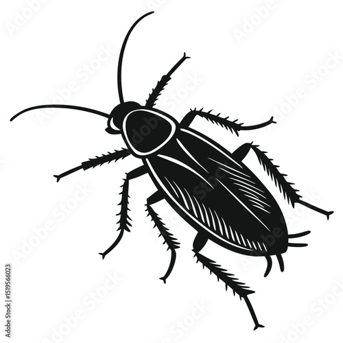 Black and white illustration of a cockroach insect vector image