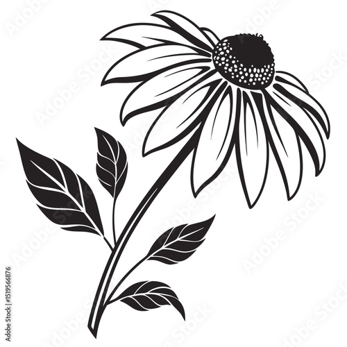Detailed monochrome line art of a Rudbeckia flower with leaves