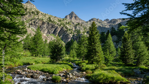 Konstfotografi Paysage de montagne au printemps dans le parc national du Mercantour dans les Al