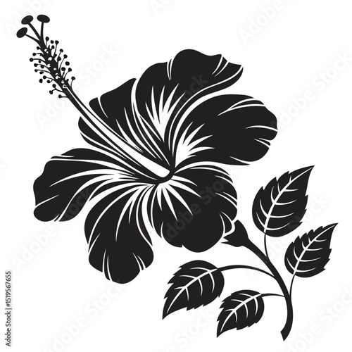 Elegant monochrome hibiscus flower with leaves in striking graphic design style
