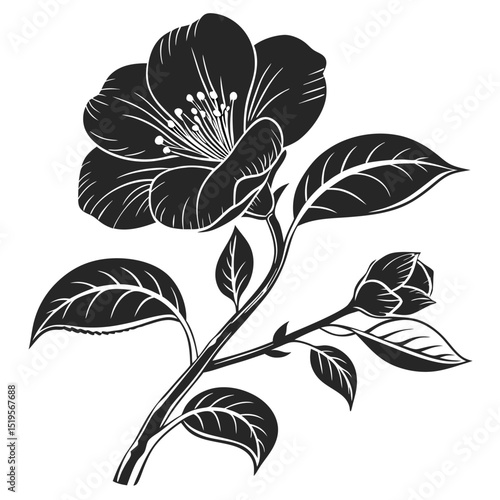 Elegant monochrome illustration of a camellia flower with a bud and leaves
