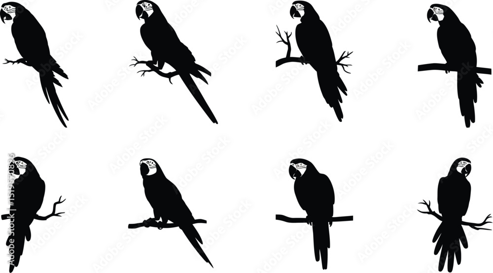 Fototapeta premium Eight black parrot silhouettes perched on branches against a white background in a repeating pattern