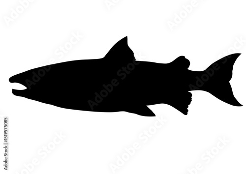 魚のシルエット