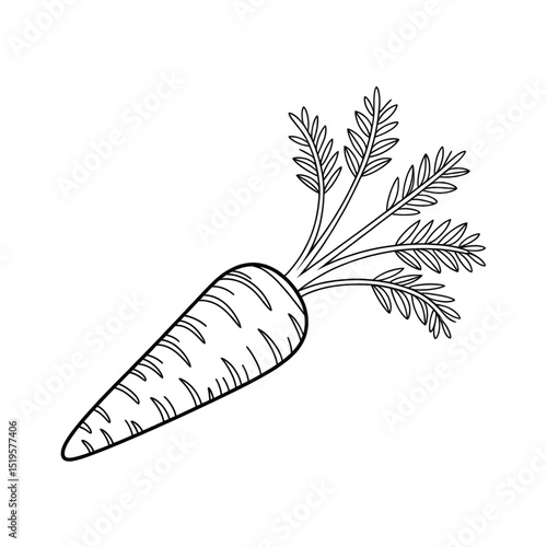 A black and white carrot illustration line art of a coloring page 