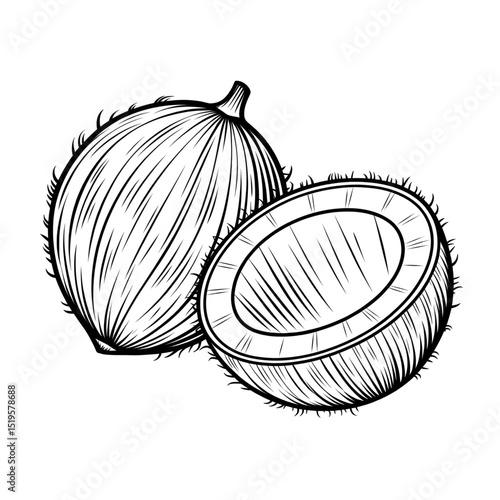 A coconut illustration line art of a coloring page 