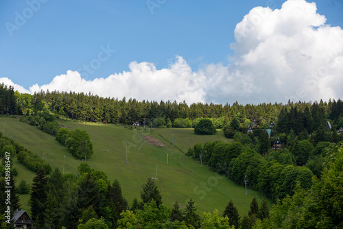 Sunny summer slope with ski lift infrastructure and forest background, empty ski resort in off-season