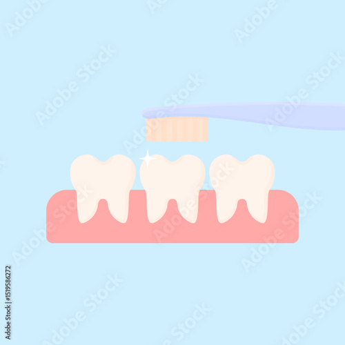 Brushing teeth with a toothbrush. Simple vector illustration of brushed healthy teeth.