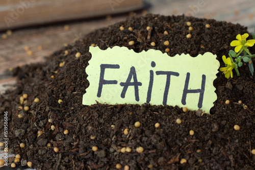 Принти на полотні Faith, handwritten word on paper in soil with mustard seeds