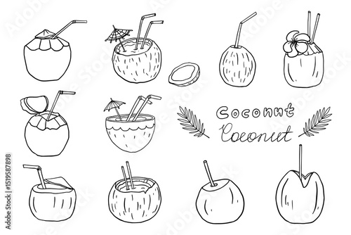Set of the ripe coconut cocktails with straw, umbrella and palm branch in doodle style.  Summer cocktail. Vector illustration EPS10. Isolated on white background.