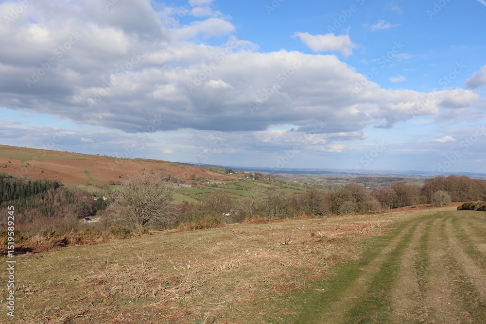 Fototapeta premium Summertime landscape along Hergest Ridge