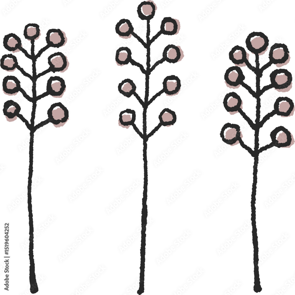 Fototapeta premium 植物の実_アナログ風イラスト