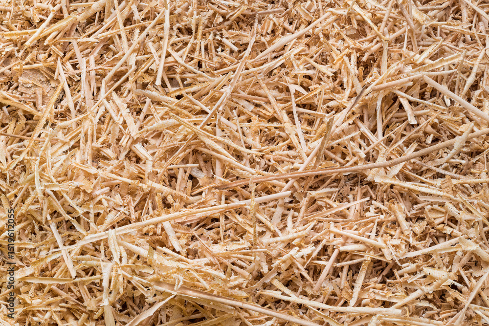 Long thin wooden shavings of woodworking waste in light brown abstract background. Closeup a heap of curled strips of wood swarf. Beige texture of carpentry byproduct from planing, shaping or routing. Long thin wooden shavings of woodworking waste in light brown abstract background. Closeup a heap of curled strips of wood swarf. Beige texture of carpentry byproduct from planing, shaping or routing.