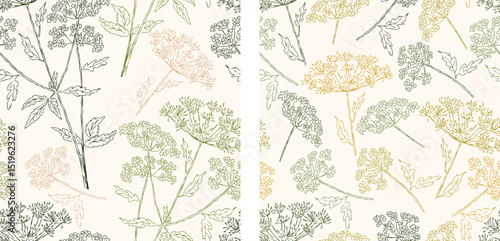 Seamless patterns of outlines umbrella plants, vector hand drawn floral backgrounds, paper, textile, wallpaper, fabric