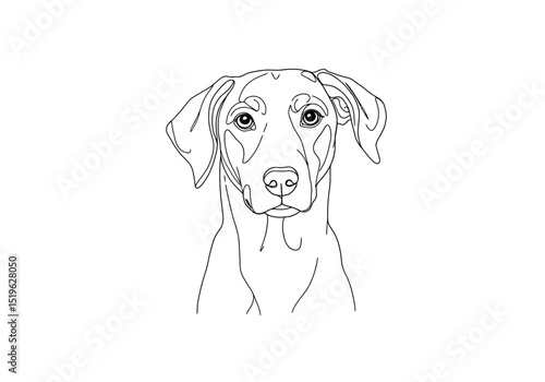 Dog portrait drawing. It is a black and white outline image of a dog's head, an expressive canine portrait. Vector sketch line art draw.