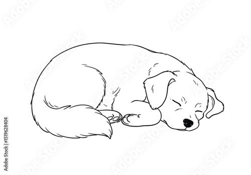 Dog sleeping drawing. It is a black and white outline image of a sleeping dog, a peaceful and relaxed canine. Vector sketch line art draw.