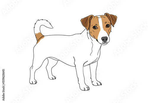 Jack russell drawing. It is a black and white outline image of a Jack Russell Terrier, a playful and loyal canine breed. Vector sketch line art draw.