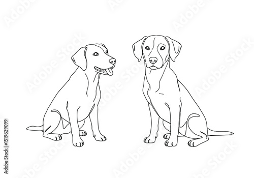2 dogs drawing. It is a black and white outline image of two dogs, canines, puppies, hounds. Vector sketch line art draw.