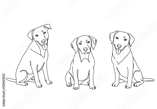 3 dogs drawing. It is a black and white outline image of three dogs, canines, puppies, hounds. Vector sketch line art draw.