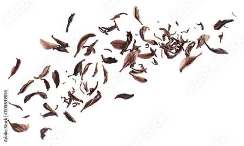 Dried black Darjeeling tea leaves flying, isolated on white, loose leaf spread, Indian beverage art, herbal drink, vector illustration, cutout, chai, hot brew element.