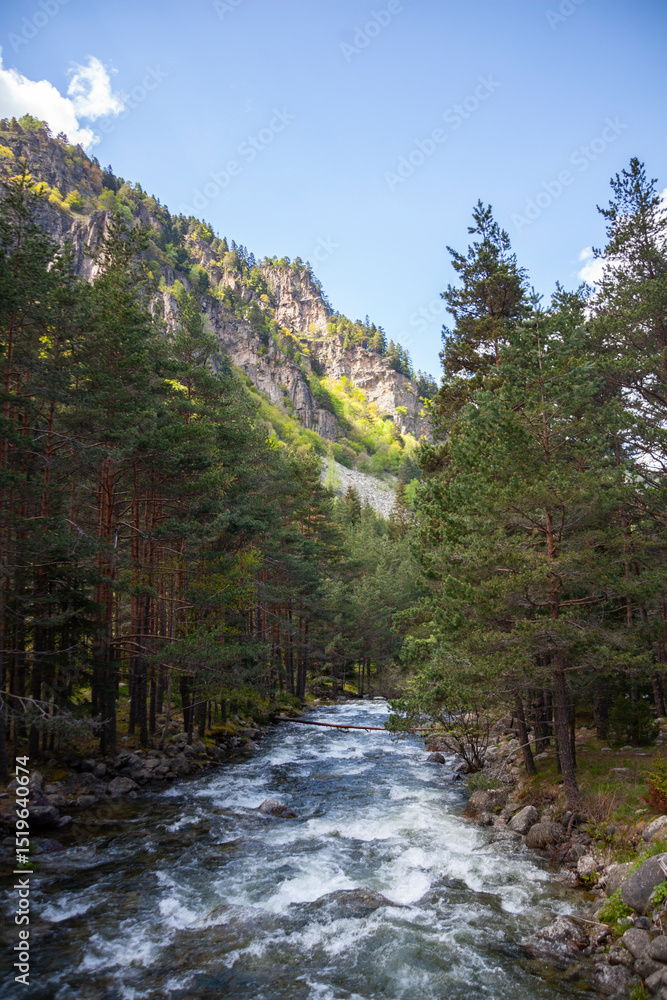 Forest and Iskar river in Rila mountain, Bulgaria Forest and Iskar river in Rila mountain, Bulgaria